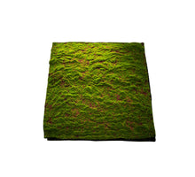 ARTIFICIAL MOSS PANEL 100X100CM