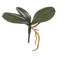 ORCHID LEAVES X 3LVS H 22 CM GREEN