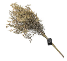 Wilgentak off-white 82x1x22cm