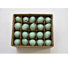 Doos á 60 kwarteleieren Turquoise