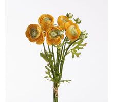 Ranunculus Bundle x5 L38cm w/raffia Yellow