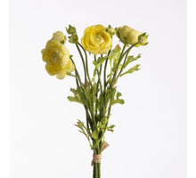 Ranunculus Bundle x5 L38cm w/raffia Light Yellow