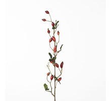 Rosehip Zaffiro Spray L84cm Red