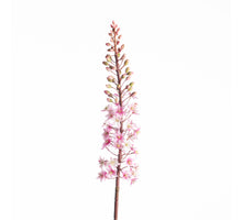 Eucomis Spray L87cm Pink