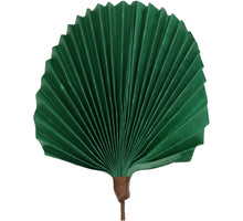 Leaf Branch Paper Green 55cm