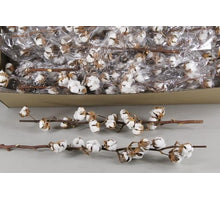 Katoen tak Gossypium Wit 11 Bol