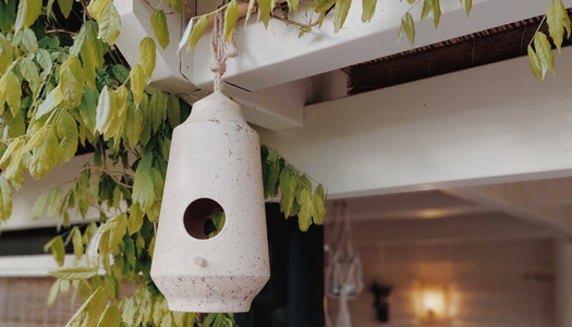 Vogelhuisjes & voederbakjes