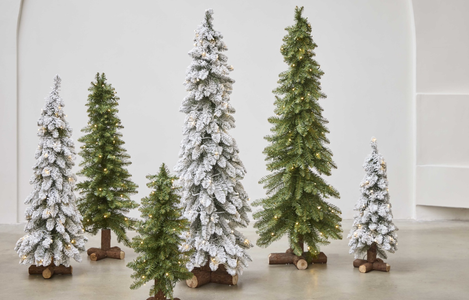 Kerstbomen