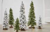 Kerstbomen