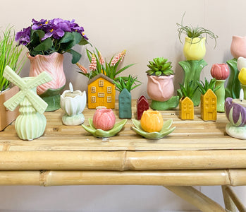 House of Tulips