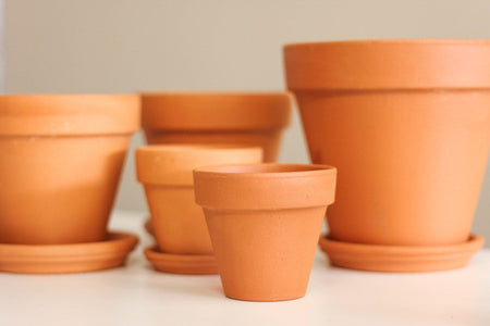 Terracotta