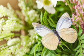 Theme & seasonal decoration