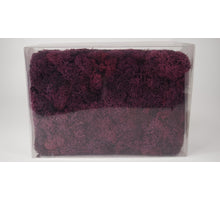 Ijslandsmos geprep 1kg brombeer