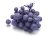 Plane tree balls pearl purple