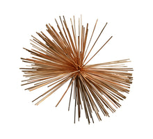 Ster pet brandy D60cm