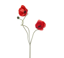 Papaver double l74cm rood