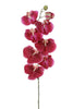 Phalaenopsis l120cm cherry