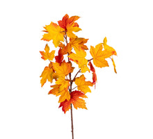Esdoorn l85cm oranje