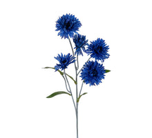 Korenbloem l60cm dk blauw