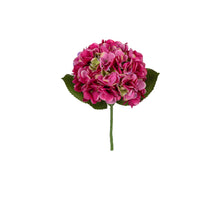 Hortensia l45cm cersie