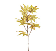 Esdoorn l62cm groen