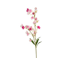 Campanula l95cm roze