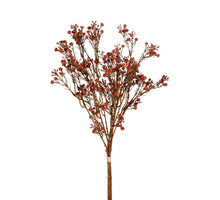 Gypsophila bundel h55cm oranje