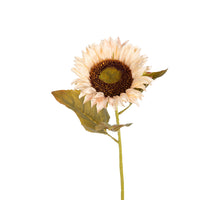 Zonnebloem l74cm creme