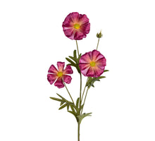 Ranonkel butterfly l70cm cerise