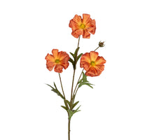 Ranonkel butterfly l70cm oranje