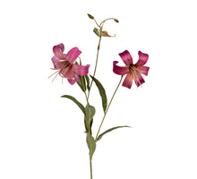 Lelie x2 l77cm cerise