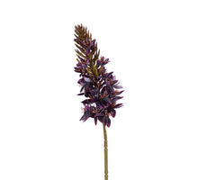 Eremurus l77cm paars