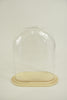 Oval L clear glass dome 24x12.5x30cm blank wooden tray