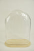 Oval XL clear glass dome 30x16x40cm blank wooden tray