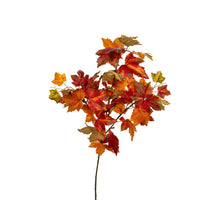 Esdoorn l80cm oranje/geel/groen