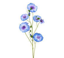 Morning glory l90cm blauw/paars