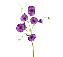 Morning glory l90cm paars