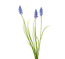 Muscari/gras l70cm blauw