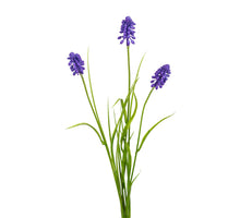Muscari/gras l70cm paars