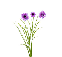 Korenbloem/gras l70cm magenta