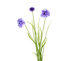 Korenbloem/gras l70cm paars