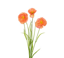 Papaver/gras l70cm koraal