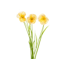 Papaver/gras l70cm geel