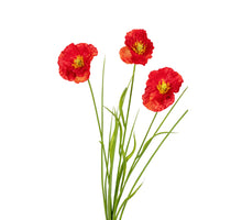 Papaver/gras l70cm rood