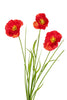 Papaver/gras l70cm rood