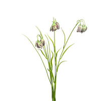 Fritillaria/gras l70cm groen
