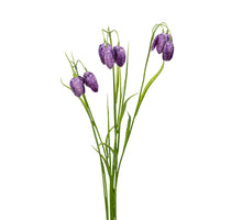 Fritillaria/gras l70cm paars