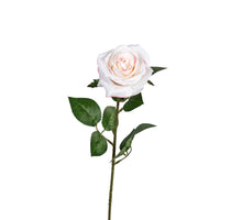 Roos l66cm beige