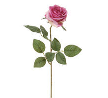 Roos l66cm cerise