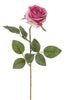 Roos l66cm cerise